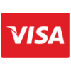 visa icon