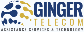 Logo Ginger Telecom